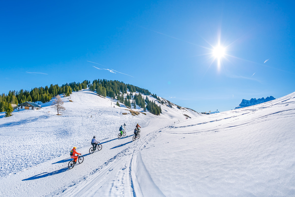 Elektrische Snowbikes